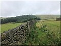 SJ9775 : Footpath and drystone wall North of Lamaload Reservoir by Philip Cornwall