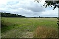 Field near New Derrings