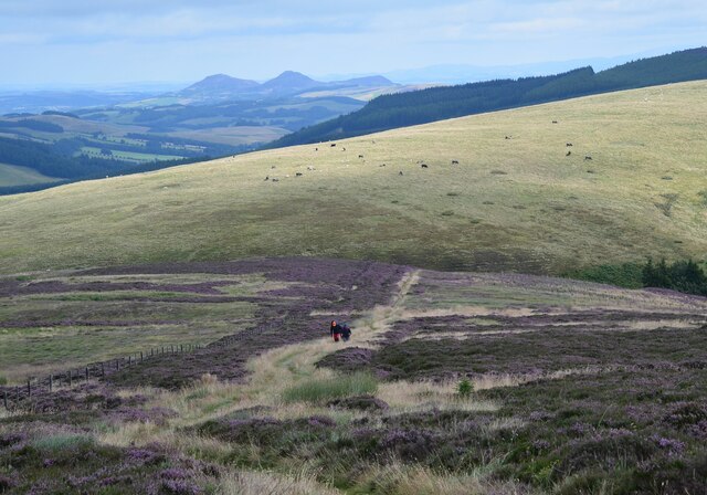 The Southern Upland Way on Brown Knowe