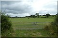 Gate and horse field