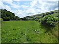 Field edge footpath in the Upper Ceiriog valley