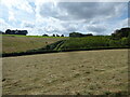 SP8600 : Summer meadows near Prestwood, Bucks by Jeremy Bolwell