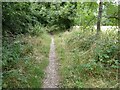 Footpath near Malvern Wells