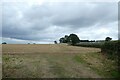 Field beside Chesler Pit Lane