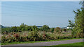 Disused land near Sideway, Stoke-on-Trent