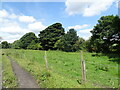 Field path near Crookhall Farm