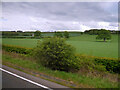 NU1035 : Fields to the west of the A1 near Middleton by David Dixon