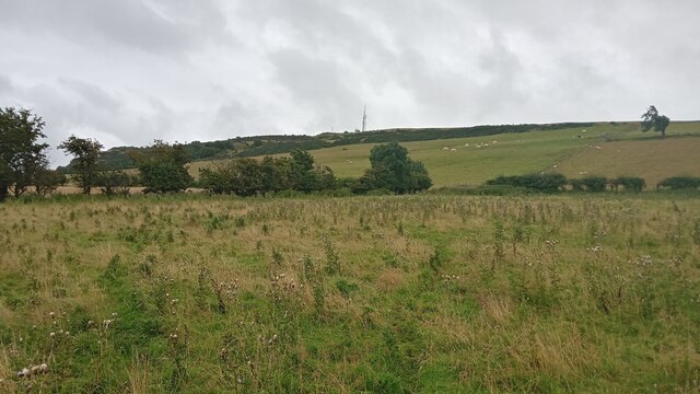 View towards Warklaw Hill