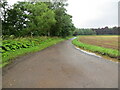 Road beside Pow Burn approaching Farnell