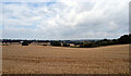 Field by Windy Bank Lane, Beggarington, Hartshead