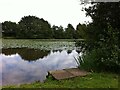 Jetty at Astley Pool