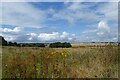 Farmland beside Sir John