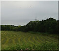 ST5390 : Cut silage field and woodland, Caldicot Level by JThomas