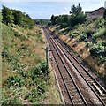 Part of Coatbridge-Motherwell railway