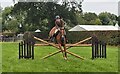 Show Jumping at Minsterley Show