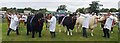 Lining up the Champions - Minsterley Show