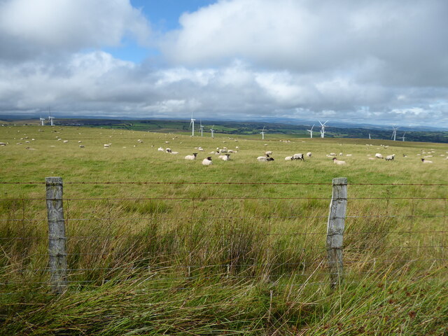 View to Mynydd Clogau wind farm
