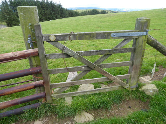 Gate on the footpath near Llyn y Tarw