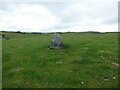 SO0196 : Standing Stone near Llyn y Tarw by Jeremy Bolwell