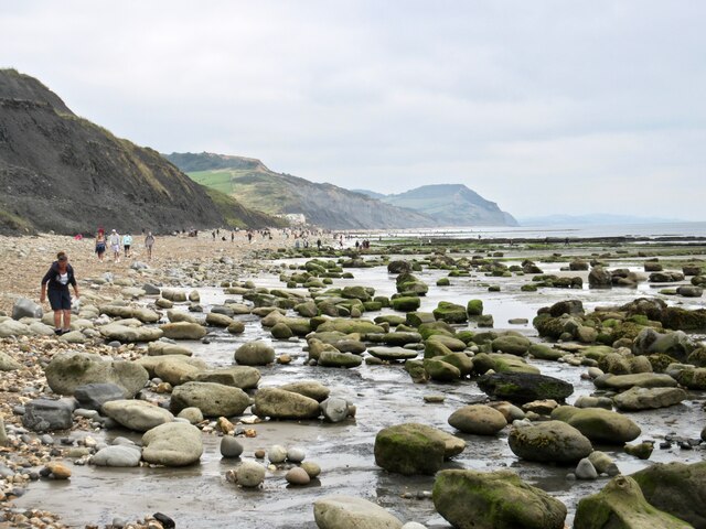 Boulders on the beach - Charmouth