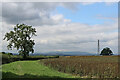 Worcestershire farmland near Trimpley