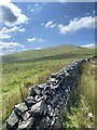 SN9219 : Stone wall by Alan Hughes