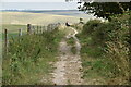 Footpath into Cuckmere valley