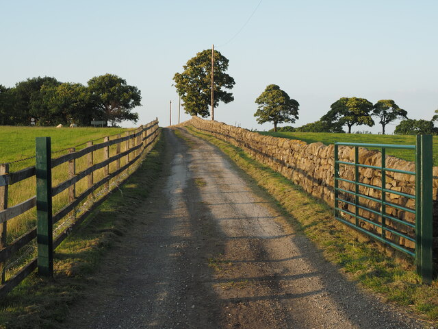 Track to the A59