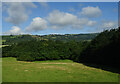 Grazing towards the Berthin Brook