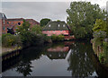 TG2208 : The River Wensum seen from the Duke Street bridge, Norwich by habiloid