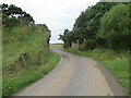 Minor road near to Fallaws Wood