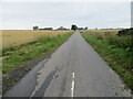 Minor road near Carmyllie Hill and Muir-edge