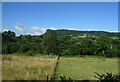 Fields near Llantilio Pertholey