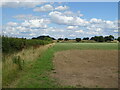 Fields and hedgerow off the B4213, Corse