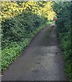 Lane towards two churches, Llangwm, Monmouthshire