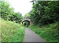 Bridge at Elm Park, Shotley Bridge