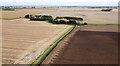 TA2333 : Farmland Copse by Andy Beecroft