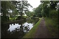 Stratford-upon-Avon Canal towards bridge #9