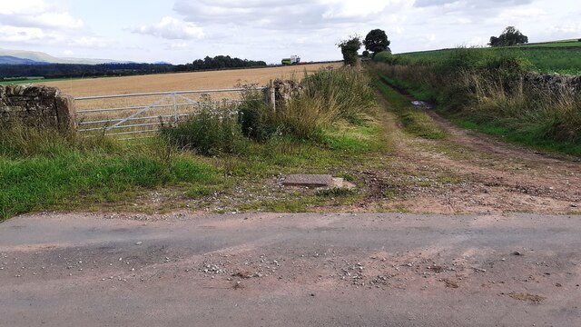Junction of rural road and track to fields west of Melmerby Mire