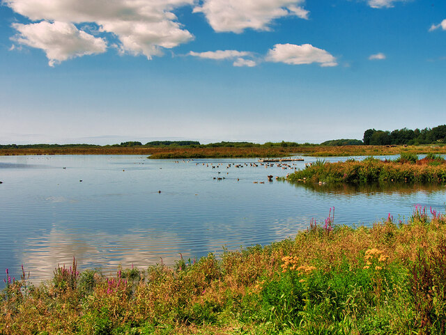 The Mere, Martin Mere Wetlands Centre © David Dixon :: Geograph Britain ...