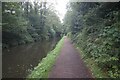 Stratford-upon-Avon Canal towards bridge #5