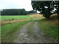 Public footpath heading west to St Thomas