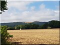 Malvern Hills from outside Marlbank Farm (2)