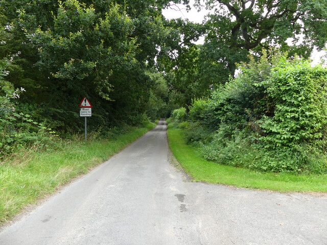 Tree Lined Rural Road © David Pashley Cc-by-sa/2.0 :: Geograph Britain ...