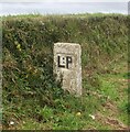 SX0856 : Old Boundary Marker on Penpillick Hill on the A390 by A Rosevear