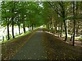 Strathblane Railway Path