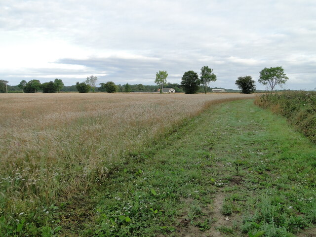 Field headland
