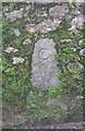 County Bridge Marker on Church Hill in Ashcombe