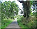 Looking down the lane to West Law