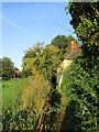 Footpath from the church, Bloxholm